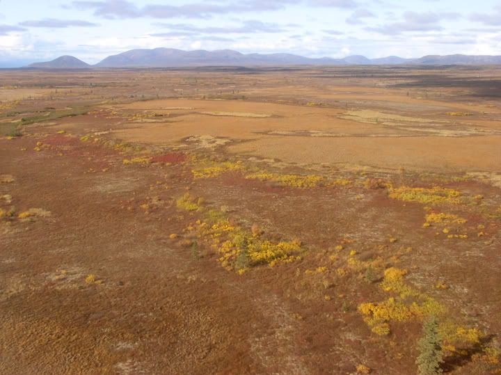 New Stuyahok, AK a village in the Alaskan bush SkyscraperPage Forum